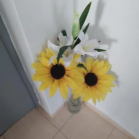 Casa Da Vila * Mexilhoeira Grande