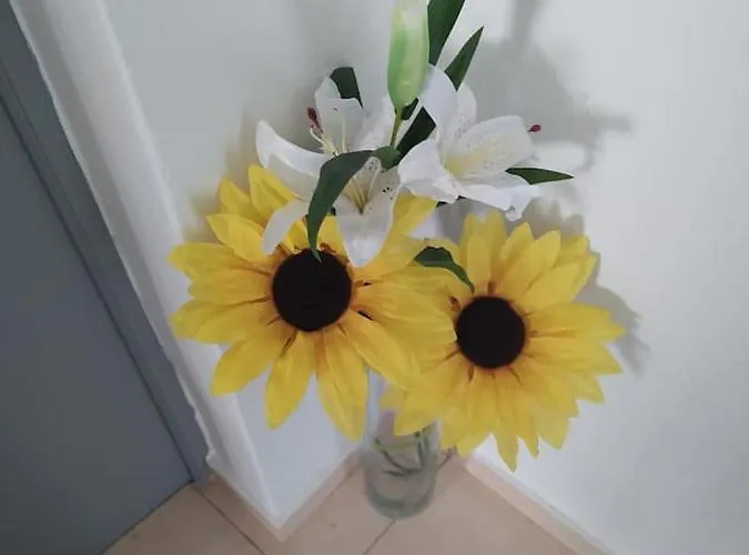 Casa Da Vila * Mexilhoeira Grande